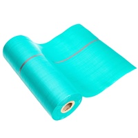 Bâche en PET enduite unie, imperméable et résistante à la pluie, pour extérieur, jardin, abri pour plantes, bateau, voiture, camion, auvent, voile d'ombrage, couverture pour animaux de compagnie
