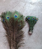 Plumes de paon brutes Mor Chhadi pour les arts, l'artisanat, les décorations de mariage et de fête, les accessoires de mode, le bricolage et les spectacles sur scène