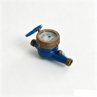 Domestic Multi-Jet Digital Water Meter IP65 Protection Threaded Connection Stainless Steel Construction 2-Year Warranty Water