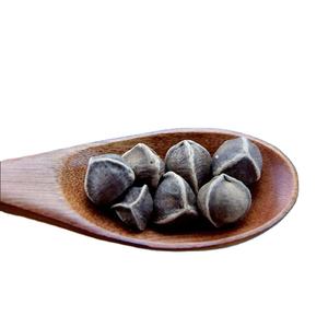 <span class=keywords><strong>Moringa</strong></span> <span class=keywords><strong>Oleifera</strong></span> Samen zur Kultivierung BE Ursprung Trockenlagerung 24 Monate Haltbarkeit Vielseitig Einsetzbar - Product Image 1