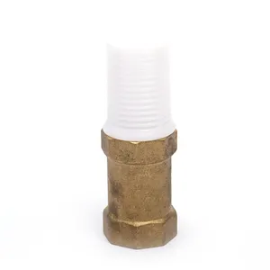 Pn12 válvulas de verificação sem retorno, fio vertical de bronze com filtro de plástico, 3/4 polegadas