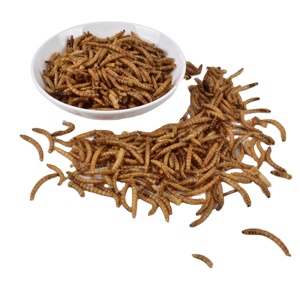 Vers de farine séchés, nourriture pour animaux riche en protéines pour oiseaux, poissons, chiens et petits animaux - 60% de protéines, 100% naturel - Product Image 1