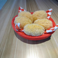 Offre Spéciale : Ensemble de 5 Peluches Poulet Nuggets d'Émotionnel Soutien, Jouets en Peluche Alimentaires Mignons, Panier Cadeau Amusant Anti-Stress Unisexe 14 PP