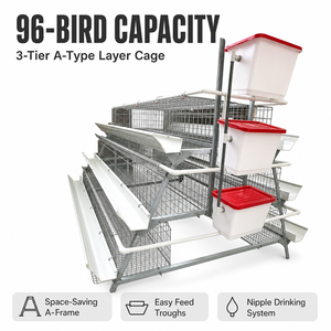 Achetez 5 ensembles de cages <span class=keywords><strong>à</strong></span> poules pondeuses <span class=keywords><strong>à</strong></span> prix d'usine avec 2 ans de garantie - Product Image 1