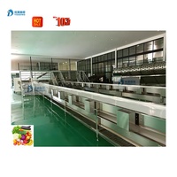 Línea automática completa de procesamiento de verduras, máquina cortadora de cebolla verde, máquina cortadora para repollo