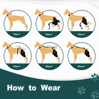 Support chauffant professionnel pour genou de chien avec massage vibrant, enveloppement pour pattes d'animaux, soin des articulations canines pour arthrite de la hanche et entorse des ligaments
