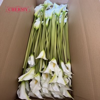 Grand bouquet de fleurs artificielles Calla Lily de 74 cm pour centre de table de mariage, décoration, fleurs artificielles réalistes