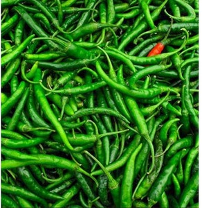 Chiles Verdes Frescos de Primera Calidad, Chiles Verdes Picantes para Cocinar Comida Picante, Grado de Exportación, Vegetales Naturales Frescos de Granja - Product Image 5