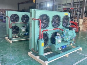 Equipo de congelador de cámara fría de acero inoxidable de 30 HP con compresor de refrigerante Unidad de refrigeración de aire de condensación refrigerada por aire de <span class=keywords><strong>4</strong></span> ventiladores - Product Image 4