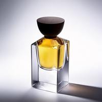 Botol Parfum Kaca Bening Grosir 50ml Botol Kaca Parfum Dengan Tutup Semprot Kosong Botol Parfum Persegi Panjang Kaca Semprot