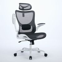 Meilleure vente de chaise de bureau d'ordinateur ergonomique en maille de haute qualité Support dorsal d'atelier de confort Appui-tête réglable Design moderne