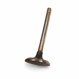 Válvula de Escape Ref 501032 - Product Image 1