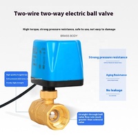 Vanne à boisseau sphérique électrique en laiton DN25 DC12-24V 2 fils 1 commande normalement ouverte/fermée pour eau