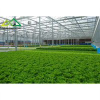 Système d'hydroponie flottant commercial en PE/PVC |   Solution de serre à grande échelle pour la culture de la laitue et des herbes aromatiques à haute densité