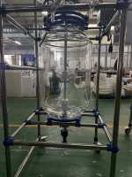Réacteur en verre à double couche à vendre chaud Réacteur en verre agité 250L robuste-Machines de concentration en acide sulfurique