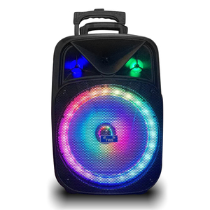 Trung Quốc Nhà Máy Nóng Bán GZ -W1312 Led Light Speaker 12Inch HI-FI Loa Karaoke Lớn - Product Image 1