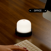 Nouvelle lampe de chevet LED portable moderne et compacte pour la décoration, éclairage de table, chambre à coucher, salon, camping, lampe LED rechargeable