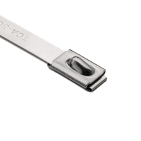 Attaches de câbles en acier inoxydable 304, 4 tailles - 30 cm, 25 cm, 20 cm, 15 cm, multi-usages, certifiées -80~+538°C pour utilisation en extérieur