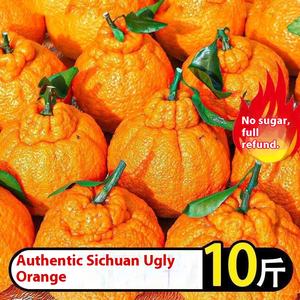 정통 3 학년 사천 익은 만다린 어글리 오렌지 슈퍼 달콤한 신선한 과일 비 Wo 만다린 물 대량 도매 - Product Image 6