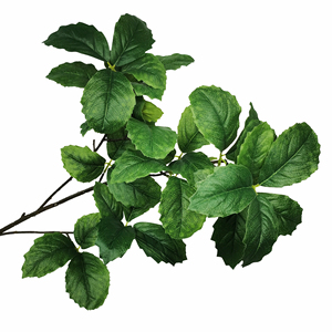 Chất Lượng Cao Nhân Tạo Sồi Màu Xanh Lá Cây Lá Tự Nhiên Chi Nhánh Cho Trang Trí Nội Thất Cho Tốt Nghiệp Trung Quốc Năm Mới Ngày Của Mẹ - Product Image 1