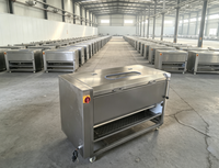 Laveuse et Éplucheuse Automatique de Légumes et Aliments, Neuve, Vente en Gros Usine, pour Manioc, Pommes de Terre, Carottes, Oignons, Gingembre