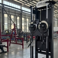 Utilisation commerciale pour l'exercice de gymnastique nouveau produit dispositif d'entraînement à augmentation latérale à double bras Machine à augmenter latérale multifonctionnelle