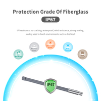 Antenne extérieure en fibre de verre haute puissance longue portée à gain élevé 1550-1620 6dBi IP67 GSM LTE Lora RFID pour PMR et réseau privé
