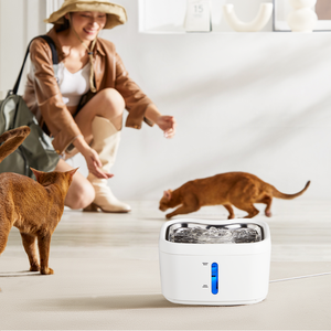 Hộ Gia Đình Vật Nuôi Tự Động Đài Phun Nước 2.5L Công Suất Lớn Thông Minh Mèo Chó Uống Trung Chuyển Yên Tĩnh Bơm Cắm Trong ABS + 304 Không Gỉ - Product Image 3