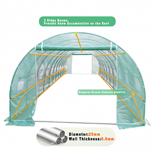 28.7 वर्ग मीटर बड़ा पी पॉलीटनल 20 खिड़कियां उगाई जाती हैं संयंत्र सुरंग ग्रीनहाउस - Product Image 3