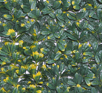 Mur végétal artificiel 50x50cm pour décoration intérieure Durable et nécessitant peu d'entretien Améliorez votre espace avec de la verdure