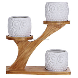 Nhà Máy Bán Hàng Trực Tiếp Gốm Mini Owl Mọng Nước Chậu Động Vật Dễ Thương Nhỏ Trồng Cây Với Chủ Gỗ - Product Image 2