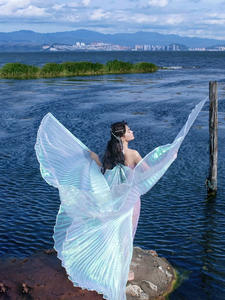 <span class=keywords><strong>Ali</strong></span> d'argento d'oro puntelli di danza Modulare a 360 gradi danza del ventre per adulti incontri annuali giochi di spettacolo decorazioni per feste - Product Image 5