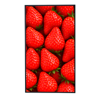 Pantalla LCD de 43 y 55 Pulgadas, 3000 Nits, Alto Brillo, para Publicidad en Escaparates, Centros Comerciales y Tiendas