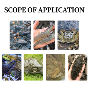 Cá rô phi nuôi trồng thủy sản tăng cường <span class=keywords><strong>premix</strong></span> thức ăn phụ gia Vitamin tổng hợp bổ sung cho sức khỏe cá - Product Image 3