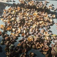 Machine à décortiquer les graines de ricin à faible dommage, décortiqueuse de graines de ricin