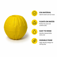 Jouet à mâcher solide et résistant de 7 cm, écologique, pour chiens et chats – Vente directe fabricant – Balle à mâcher pour animaux de compagnie