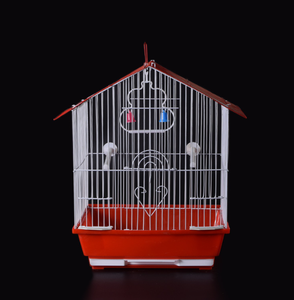 כלוב ציפורים מעור טיגריס, כלוב רבייה לתוכים, כלוב מתכת ביתי מברזל עם פלסטיק לציפורים בווילה - Product Image 2