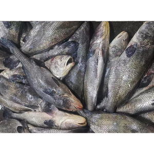 Vente en gros de poisson croaker brun/croaker jaune congelé, fourni depuis la Chine - Product Image 5