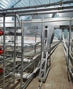 Toptan yeni durum otomatik hayvancılık ekipmanları 1500-20000 tavuk kanatlı çiftlik hayvan kafesleri indirim fiyata - Product Image 4