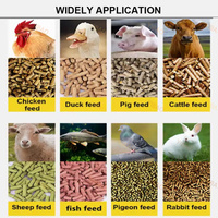 Nouvelle machine à granulés d'aliments pour volailles à haute productivité pour l'élevage animal avec une capacité de 100-1500 kg/h pour usine de fabrication
