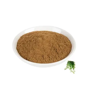 High Quality Fine Powder Natural Organic Ivy Leaf Extract Powder Leaf Powder 5%-20% Hederacoside C