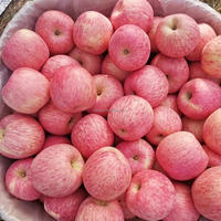 Chinees Fruit Verse Appel Fabrikant Verse Gala Appels/Rode Appel/Fuji Appel Prijs