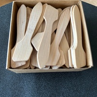 Spatule à maquillage en bois de luxe, mini cuillère, outil de beauté, cuillère à masque, cuillère à crème cosmétique, spatules pour crème faciale