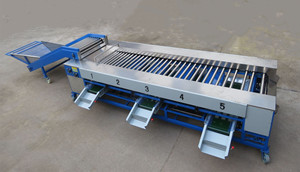 Proveedor Chino de Máquina Clasificadora de Patatas Multifunción/ Máquina Clasificadora de Patatas por Tamaño/ Máquina Clasificadora de Frutas - Product Image 6