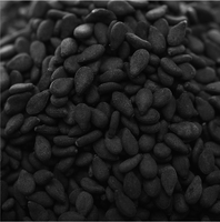 Graines de sésame noires de qualité supérieure, origine Chine, pureté 99%, prix usine