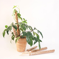Tige de mousse de coco, bâton de fibres de coco pour plantes grimpantes, support de croissance pour plantes 'Turtle Back', poteau de mousse, bâton de coco