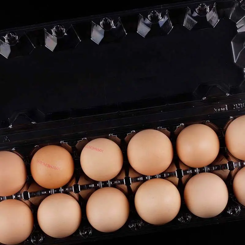 12 छेद जंबो बड़े बड़े चिकन अंडे बतख अंडे को साफ फूड ग्रेड फोल्डिंग पूरी बिक्री चीन में