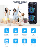 Haut-parleur portable Bluetooth double 8 pouces pour extérieur, idéal pour la danse et le karaoké, grand volume, avec micro – Vente en gros