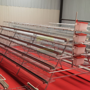 For 4 Tier 5 Door Heavy Duty <strong>Galvanized</strong> Steel Automatic Chicken Cage System 5-Year Warranty for Commercial Egg Production - Product Image 4