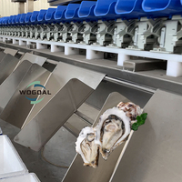 שימוש מסחרי גבוהה דיוק Loadcell עמיד למים במשקל סדרן פירות ים דגי שרימפס פגז קונכייה משקל מיון מכונת